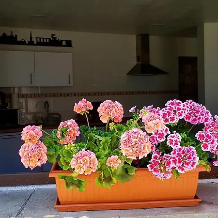 El Rodeno De Gea Ideal Parejas Apartmán Gea de Albarracín